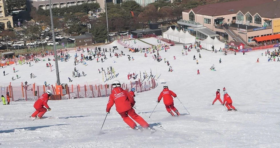 Ski slopes at Daemyung Vivaldi Park Ski Resort